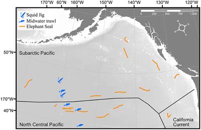 Energy-Rich Mesopelagic Fishes Revealed as a Critical Prey Resource for a Deep-Diving Predator Using Quantitative Fatty Acid Signature Analysis